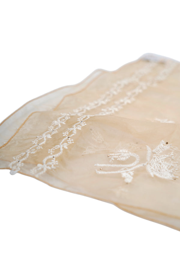 The Soft, Light-Gold Stole