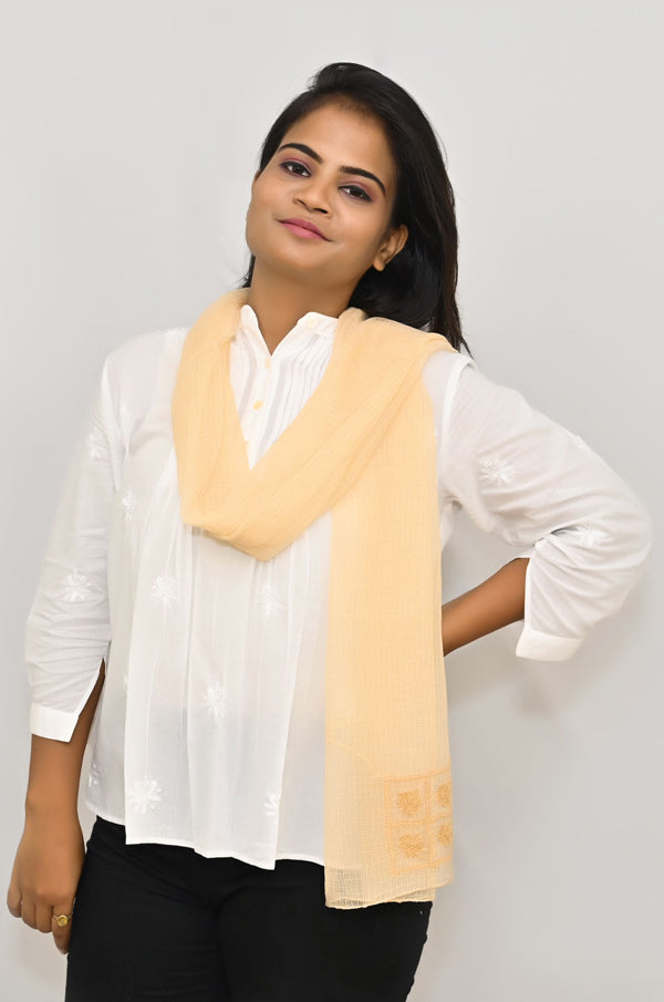 Light Brown kota doria chikankari embroidery